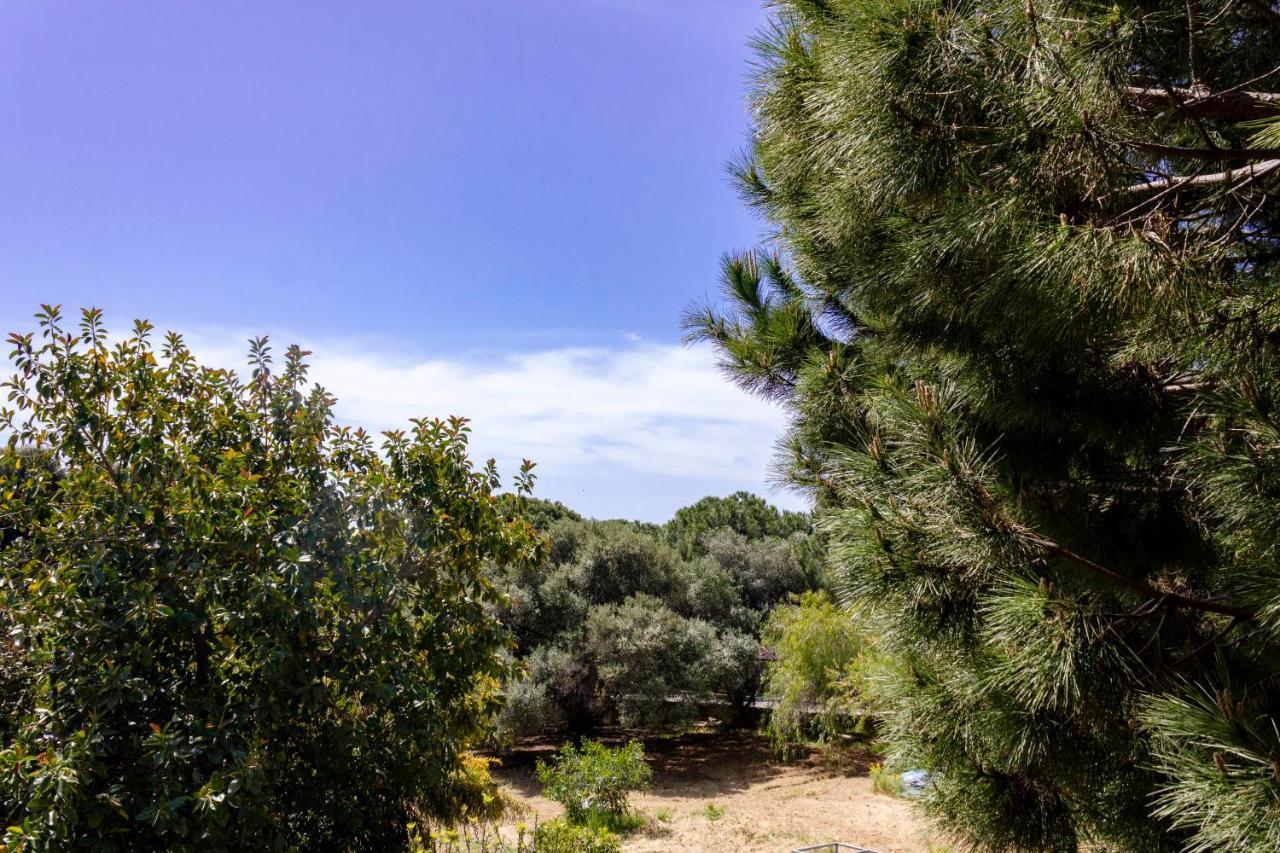 B&B Pirandello - Residence Villa Margherita Agrigento Eksteriør billede